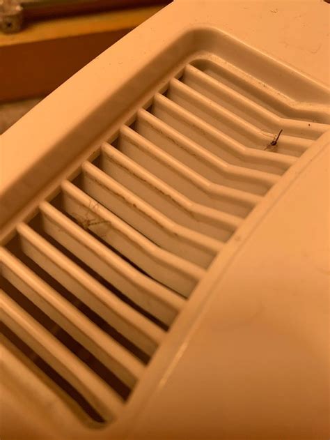 BULL MOOSE SALOON AND LODGE (Alpine) - Motel Reviews, Photos, Rate ...