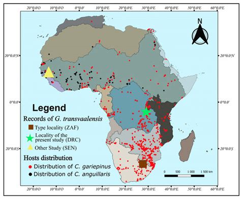 Pathogens | Special Issue : Parasitic Diseases of Fish: Identification ...