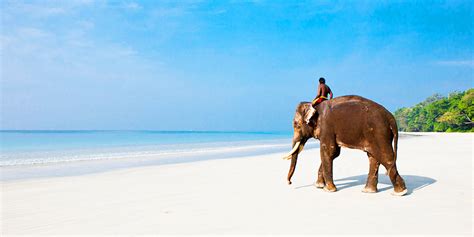 Elephant Beach Andaman (Entry Fee, Timings, History, Built by, Images ...
