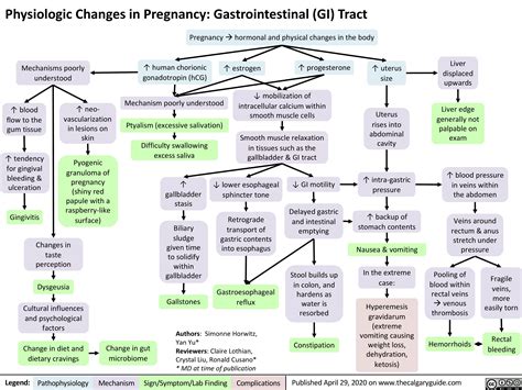 Gastrointestinal (GI) changes during pregnancy | Calgary GuideCalgary Guide