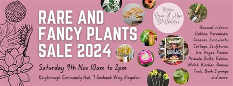 Rare and Fancy Plants Sale 2024, Kingborough Community Hub, Kingston, 9 ...