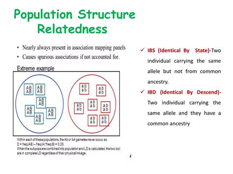Image result for Association Mapping Applications