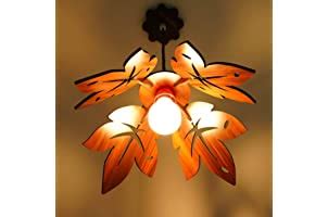 Amazon.in Bestsellers: The most popular items in Ceiling Lighting