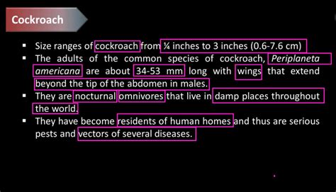 Image result for Cockroach Structure and Function