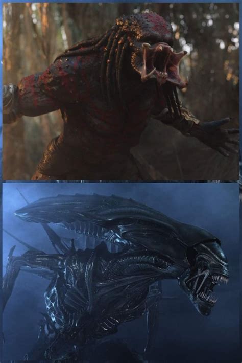 Image result for Alien vs Predator Scar Alien Queen