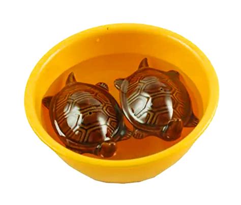 Buy Mehta Handicrafts Vastu Feng Shui Floating Tortoise Turtle for ...