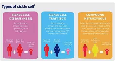 Sickle Cell Disease: An Overview