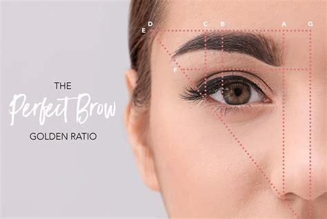 How To Measure Perfect Eyebrows