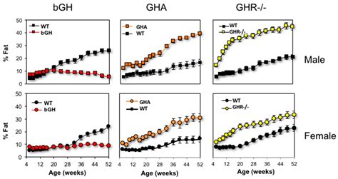 Growth Hormone’s Effect on Adipose Tissue: Quality versus Quantity