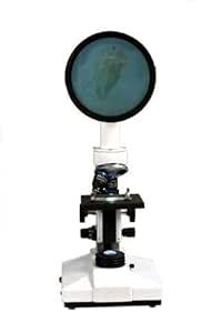 FALCON OPTIK Projection Microscope (Magnification 100X-1000X) : Amazon ...