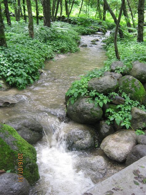 TIGER EYE GUEST HOUSE (Manali) - Lodge Reviews & Photos - Tripadvisor