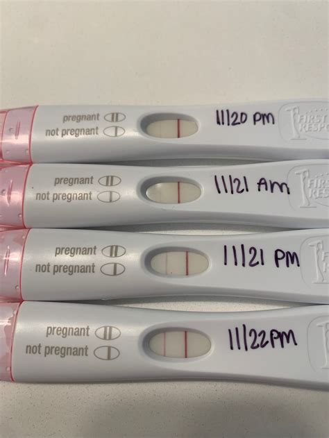 First Response Negative Pregnancy Test Results