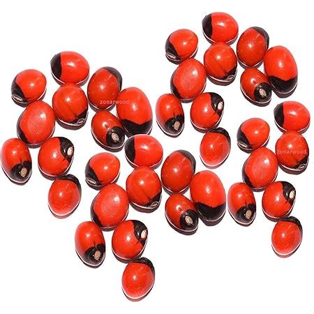 SHREERUDRA Rare Red, Lal Rakt Chirmi Gunja Ratti Beads Seed for Lakshmi ...