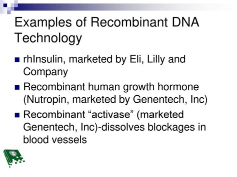 Recombinant DNA Examples 的图像结果