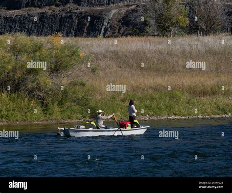 Woman fly fishing in the Missouri River in Montana. She is fishing ...