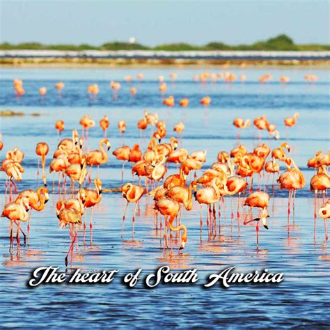 Embassy of Paraguay in New Delhi – Official Website – Paraguay De La Gente