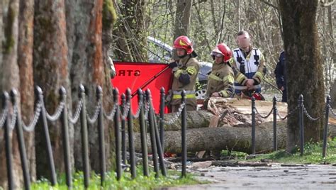 Ofiarami 44-latka i 6-letnie dziecko. Gmina ogłosiła żałobę - Limanowa.in