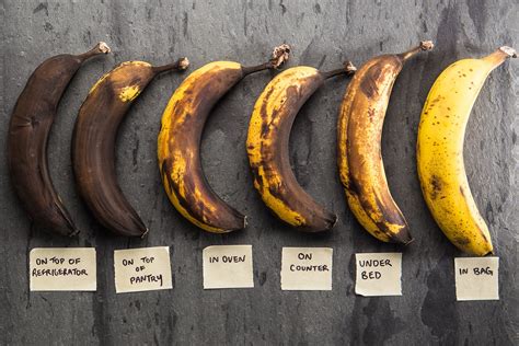 What to Make with Ripe Bananas 的图像结果
