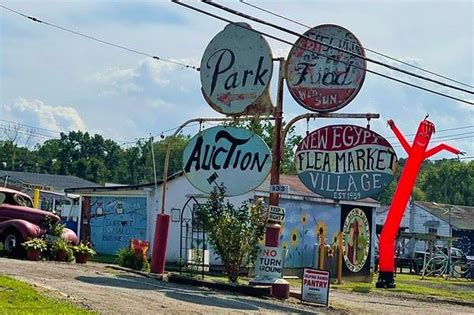 Sold Out! - Spirit Mediumship Gallery for Amazing Mutt Puppy Rescue ...