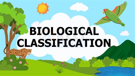 Image result for Direct Development