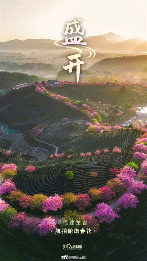 春意盎然！一组海报带你感受春天里的中国_社会_中国台湾网