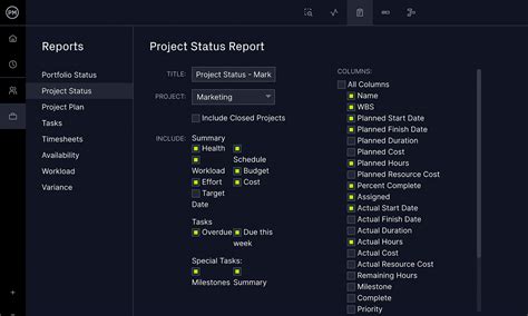 Project Tracker Software 的图像结果