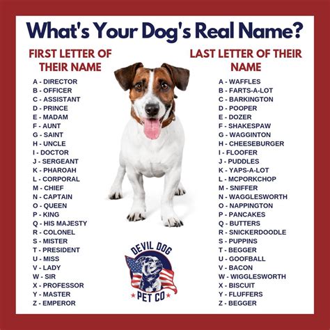 How To Say What Is Your Dog's Name In Spanish at Francine Rice blog