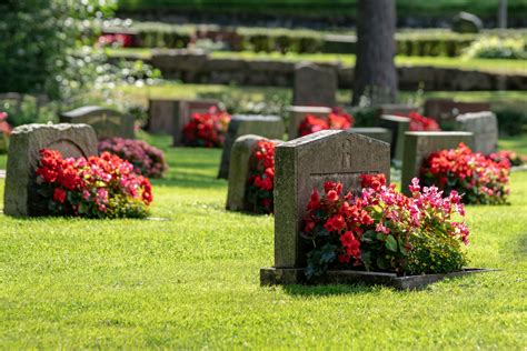 A Guide to Choosing a Cemetery Site for Your Loved Ones in San Diego ...