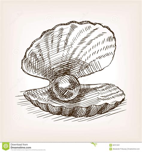 Image result for Shelldrawing