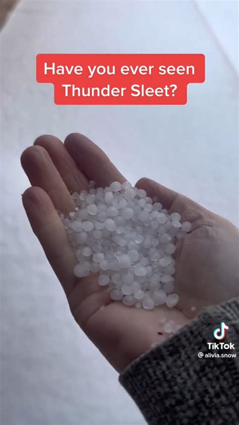 Thunder Sleet 的图像结果