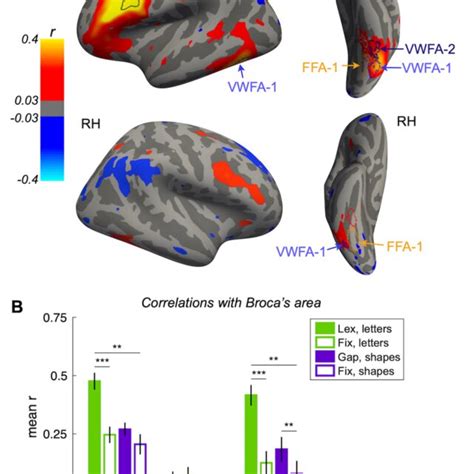 Image result for Broca's area Function