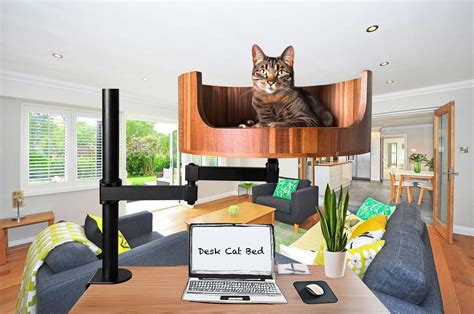 What Happens When Cats Eat Catnip: A Feline Exploration – Desk Cat Nest
