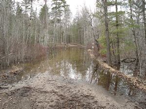 Flooding causes trail closures in Cheboygan County, southwest of Indian ...