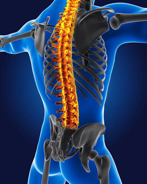 CORE Orthopaedics | Dr. Nishanthan Vengappa