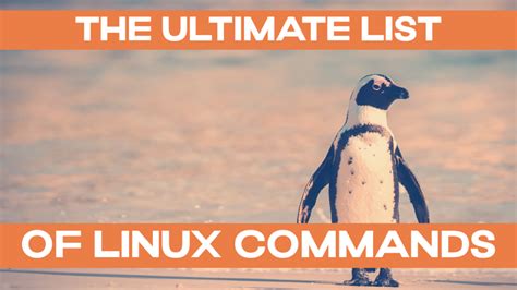 Image result for Linux Shell Commands
