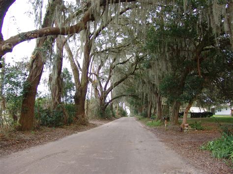 This city famous for its water is now at risk of running out — here's how things changed so quickly - population of zephyrhills florida