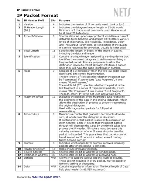 Image result for Internet Protocol Packet Format