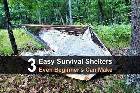 Image result for Different Types of Survival Shelters