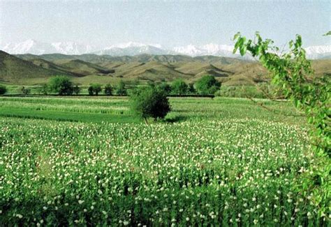 What ails Pakistan is a war of narratives. The first election in the ...