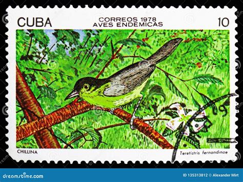 Birds Endemic To Russia