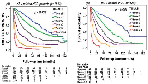 A New Tumor Burden Score and Albumin–Bilirubin Grade-Based Prognostic ...