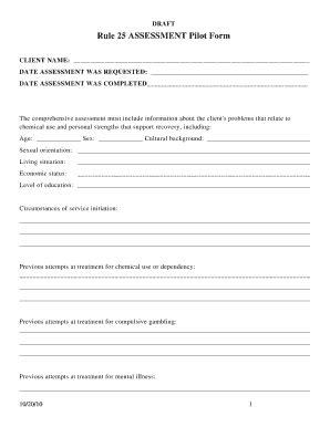 2010-2026 MN Rule 25 Assessment Pilot Form - Blank Fillable Template ...