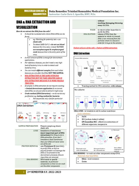 Image result for DNA vs RNA Extraction