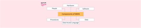 DBMS Component Modules 的图像结果