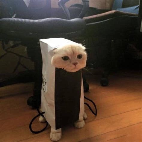 Image result for I'm a Computer