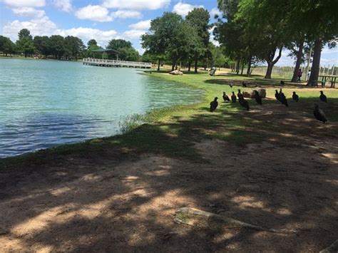 Mary Jo Peckham Park (Katy) - 2021 All You Need to Know BEFORE You Go ...