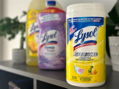 Does Lysol Kill Fleas on Cats? Vet-Verified Facts & Safety Guide - Catster