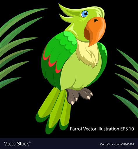 Image result for How to Draw a Parrot Two