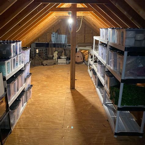 Attic Flooring Ideas