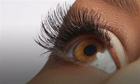 Image result for eyelashes